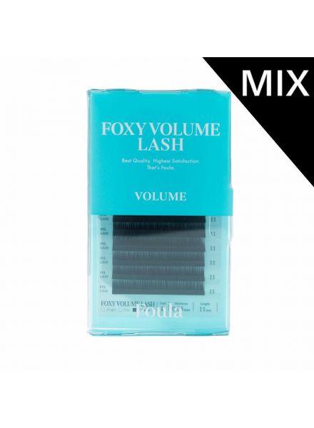 Foxy Volume Lash 0.05mm x 9-13mm SizeMix